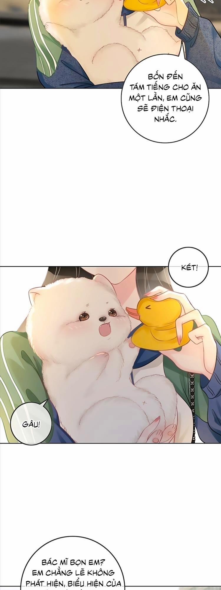 Ám Hắc Hệ Noãn Hôn 20 trang 15