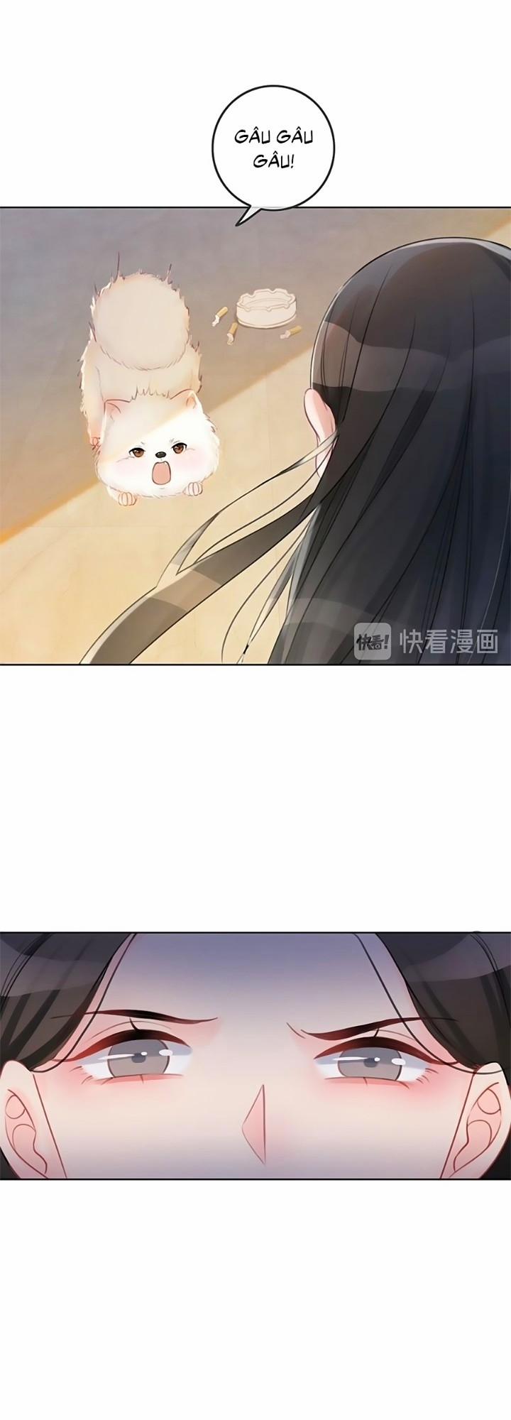 Ám Hắc Hệ Noãn Hôn 21 trang 19