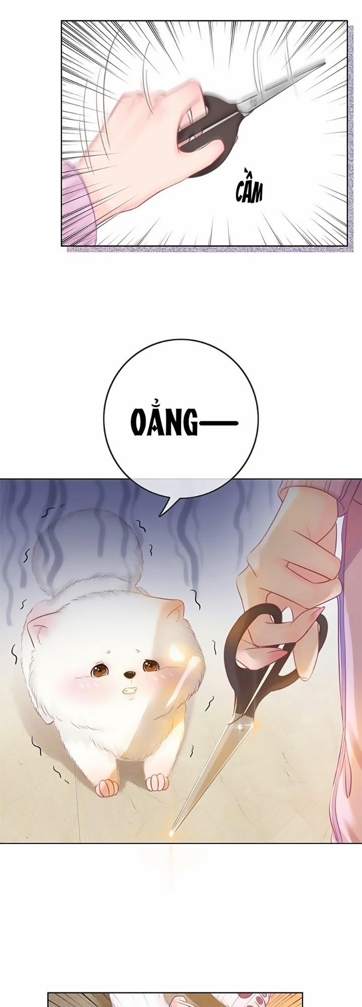 Ám Hắc Hệ Noãn Hôn 21 trang 20