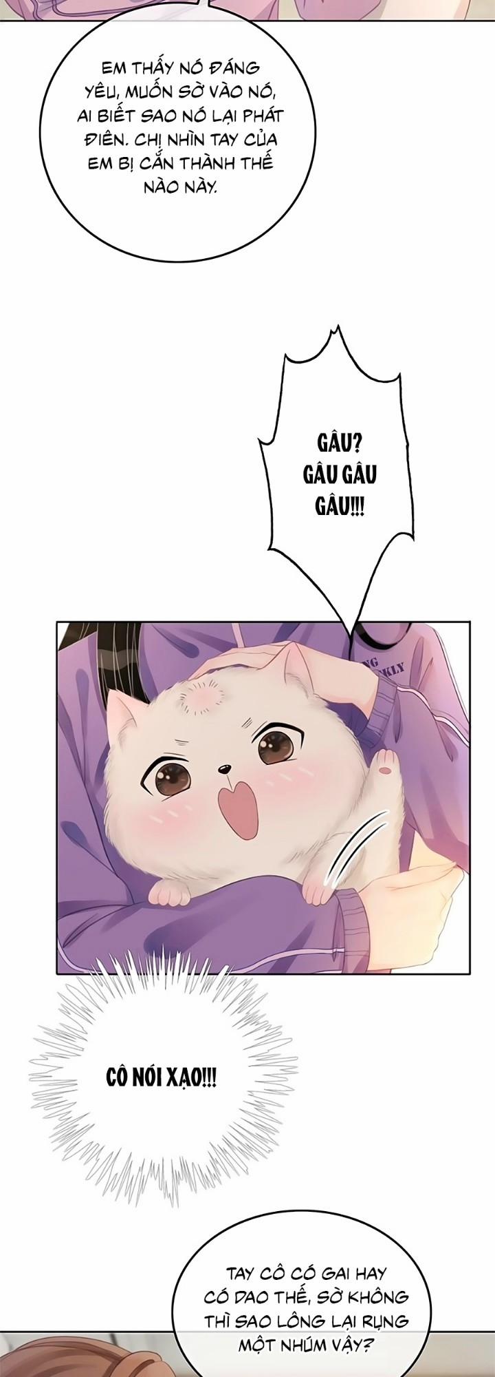 Ám Hắc Hệ Noãn Hôn 21 trang 31