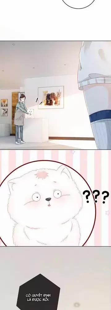 Ám Hắc Hệ Noãn Hôn 22 trang 27