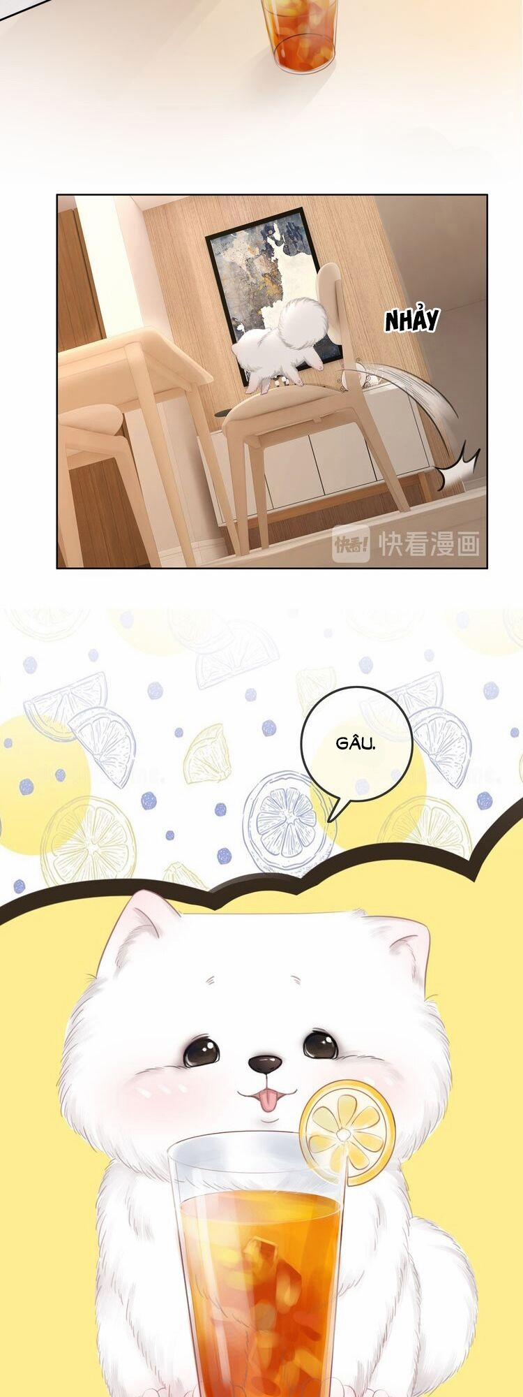 Ám Hắc Hệ Noãn Hôn 30 trang 19