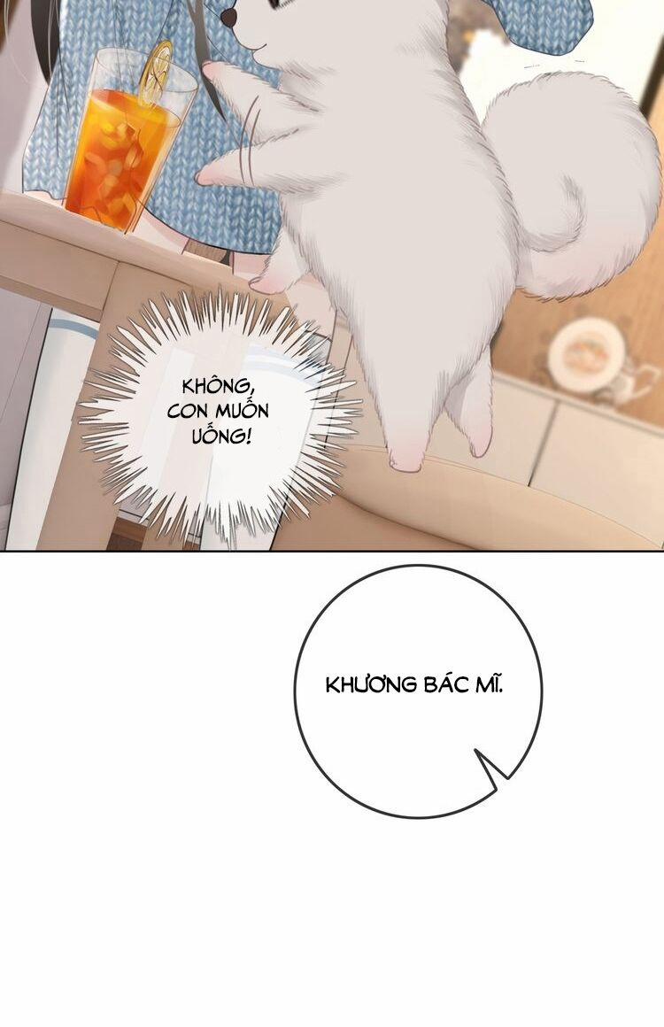 Ám Hắc Hệ Noãn Hôn 30 trang 21