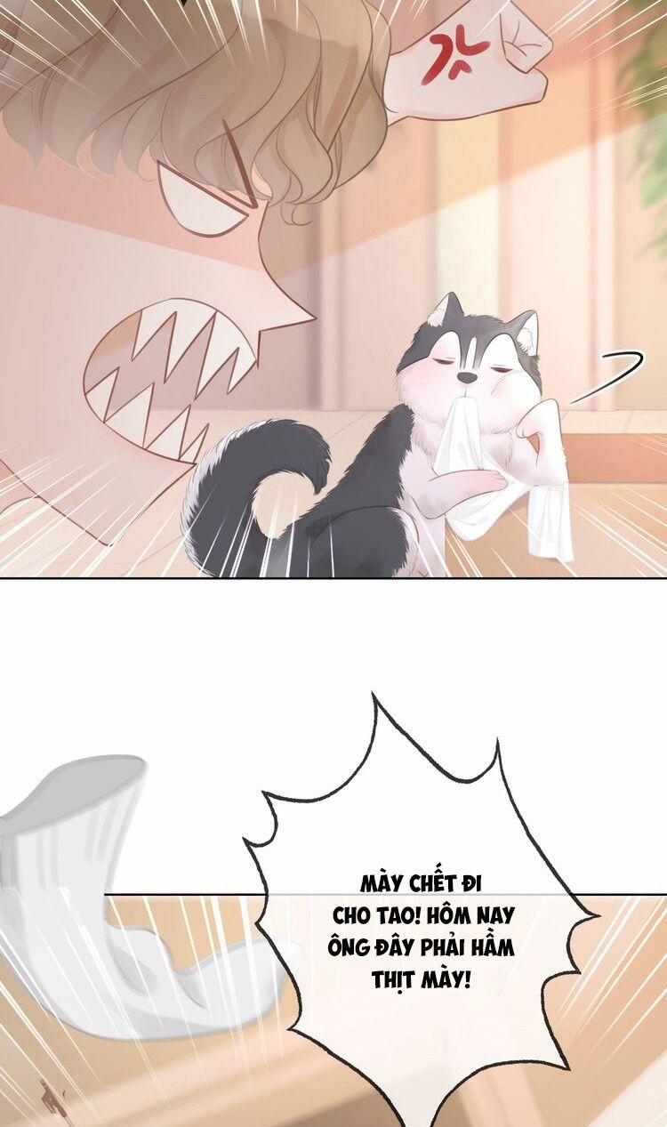 Ám Hắc Hệ Noãn Hôn 33 trang 14