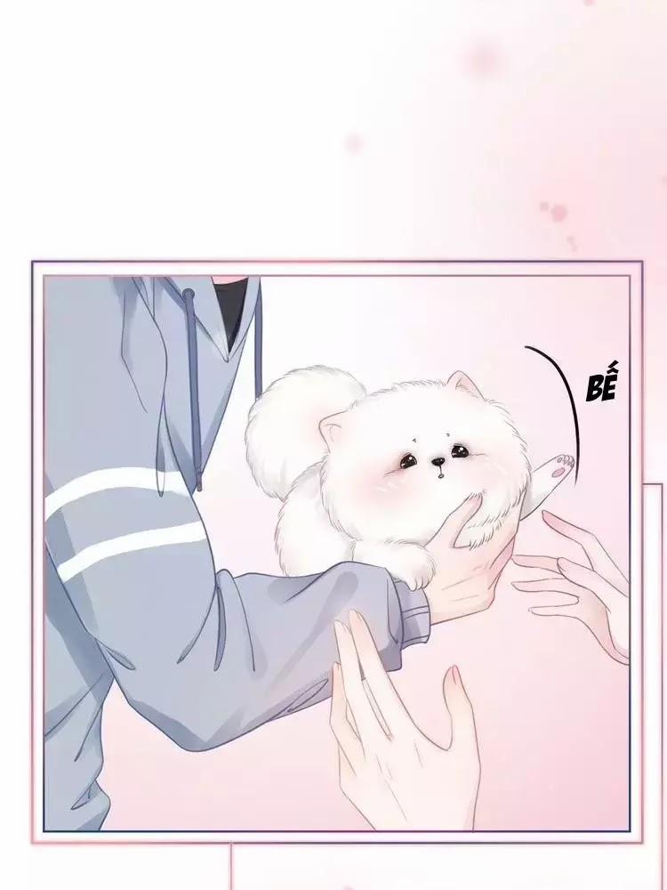 Ám Hắc Hệ Noãn Hôn 8 trang 16