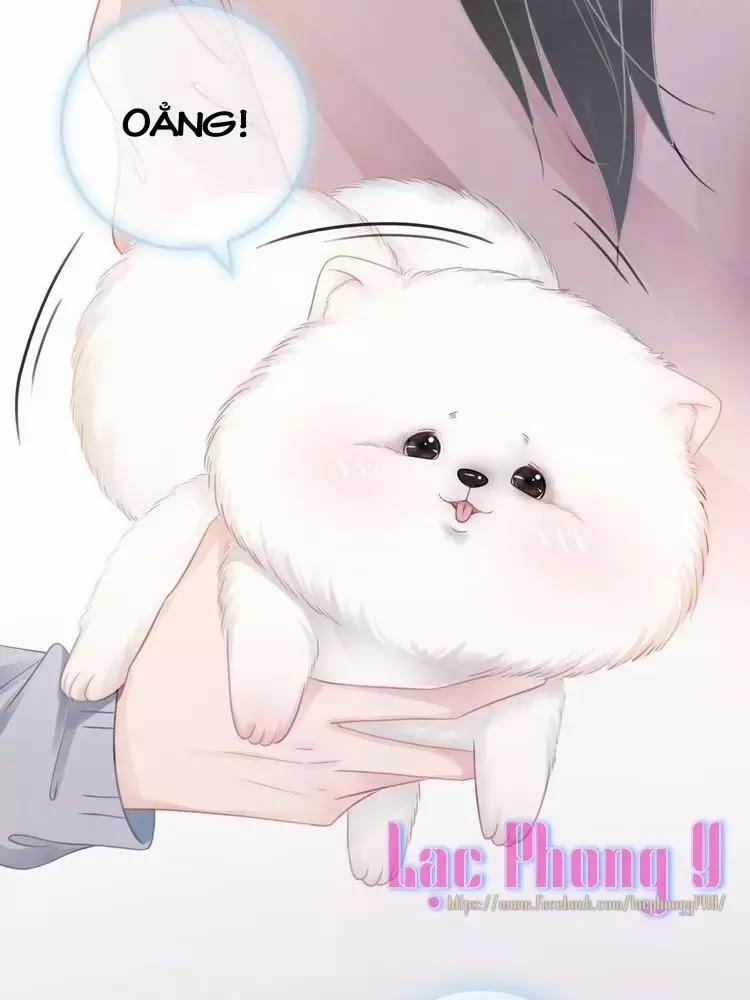 Ám Hắc Hệ Noãn Hôn 8 trang 20