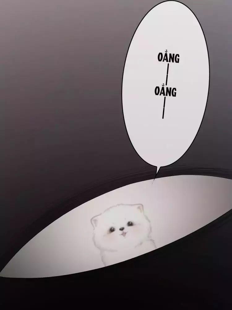 Ám Hắc Hệ Noãn Hôn 8 trang 22