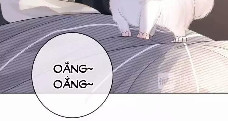 Ám Hắc Hệ Noãn Hôn 8 trang 28