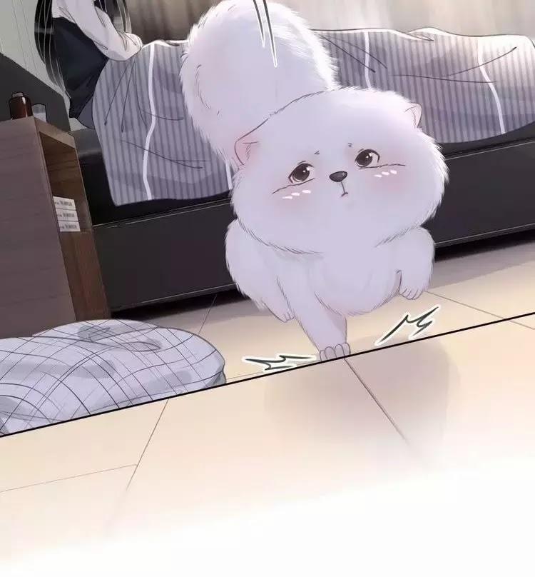 Ám Hắc Hệ Noãn Hôn 8 trang 33