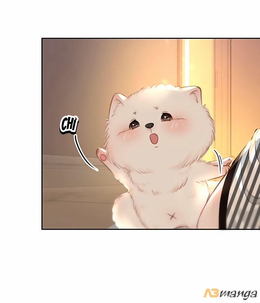 Ám Hắc Hệ Noãn Hôn 86 trang 32