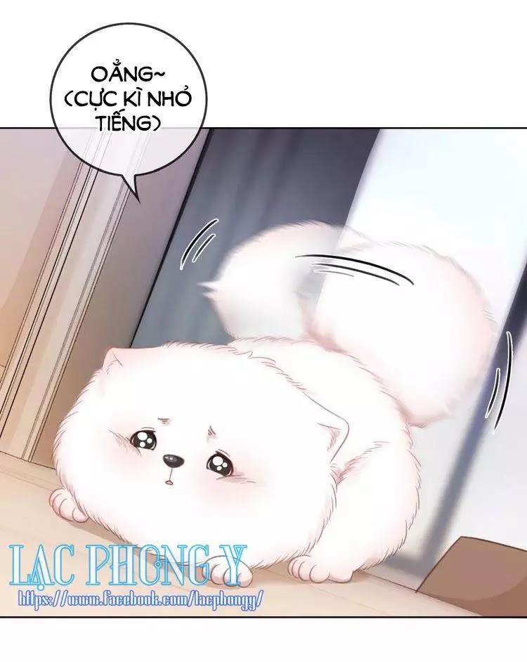 Ám Hắc Hệ Noãn Hôn 9 trang 24