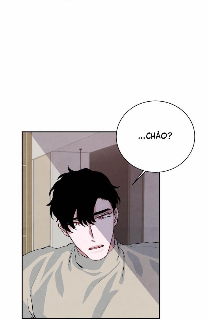 Âm Thanh Của San Hô 17 trang 8