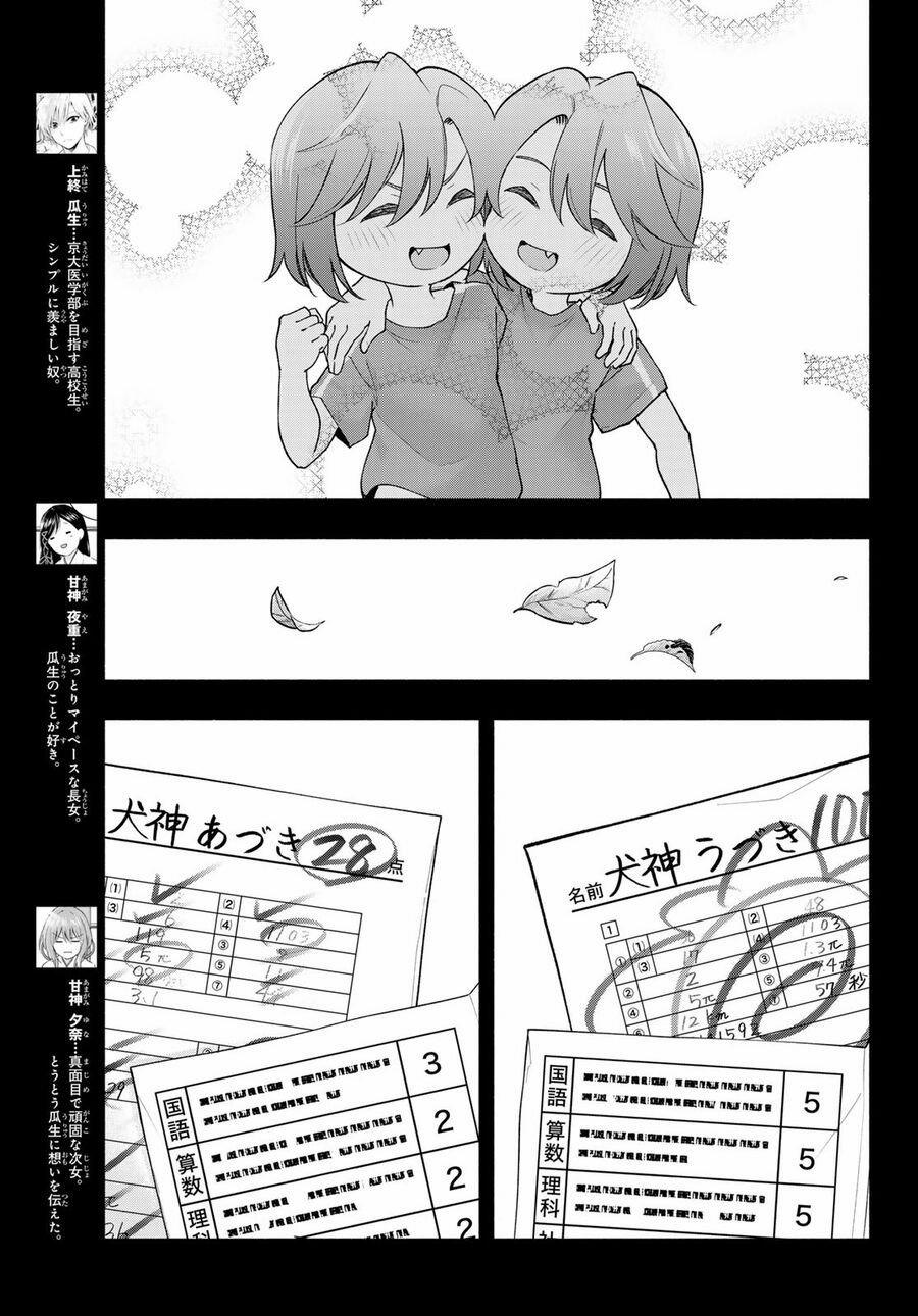 Amagami-San Chi No Enmusubi! 175 trang 3