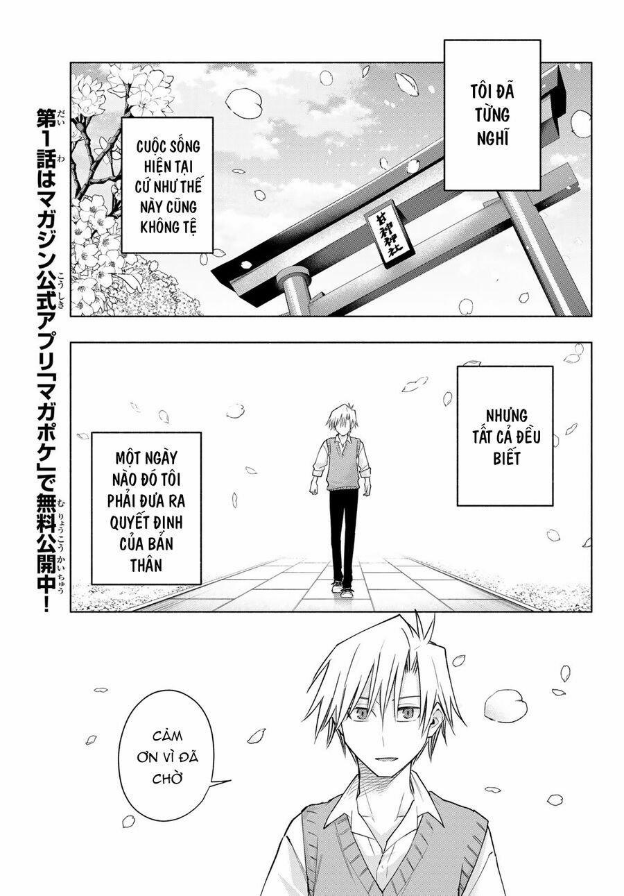 Amagami-San Chi No Enmusubi! 176 trang 15