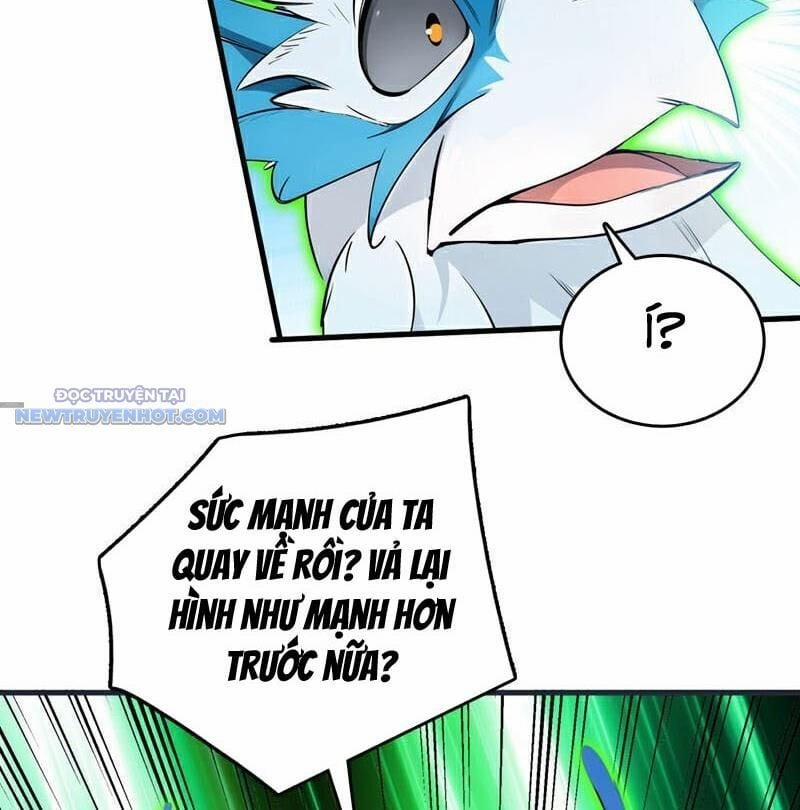 Ẩn Cư Mười Vạn Năm 267 trang 10