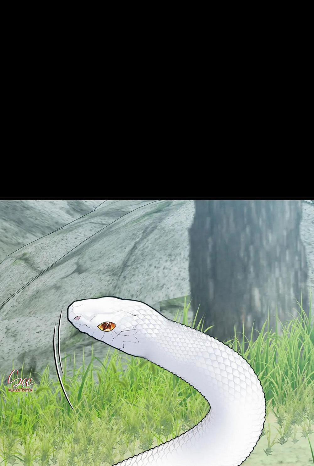 ÂN NHÂN CỦA RẮN 13 trang 7