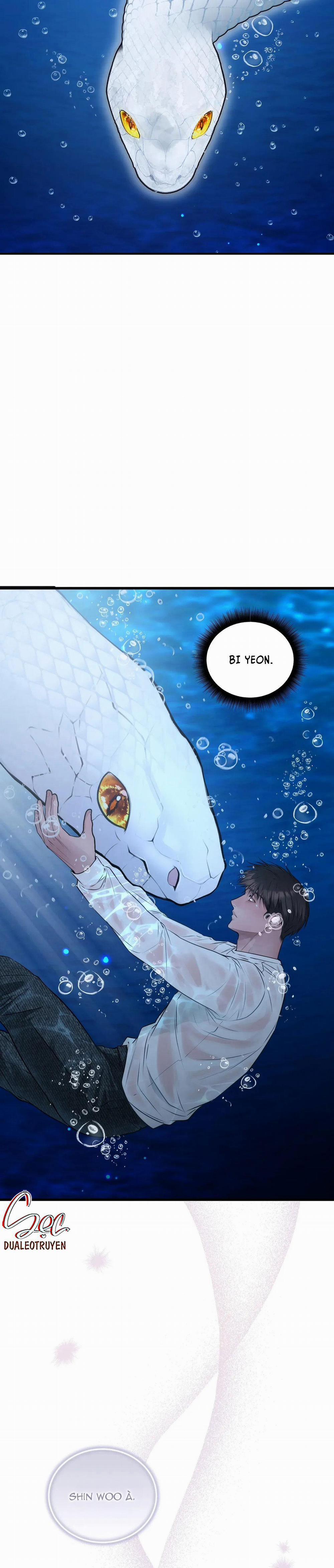 ÂN NHÂN CỦA RẮN 20 trang 5