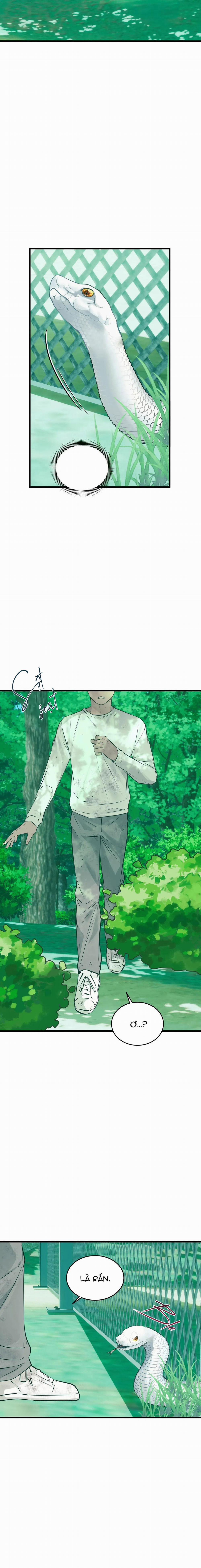 ÂN NHÂN CỦA RẮN 22 trang 4