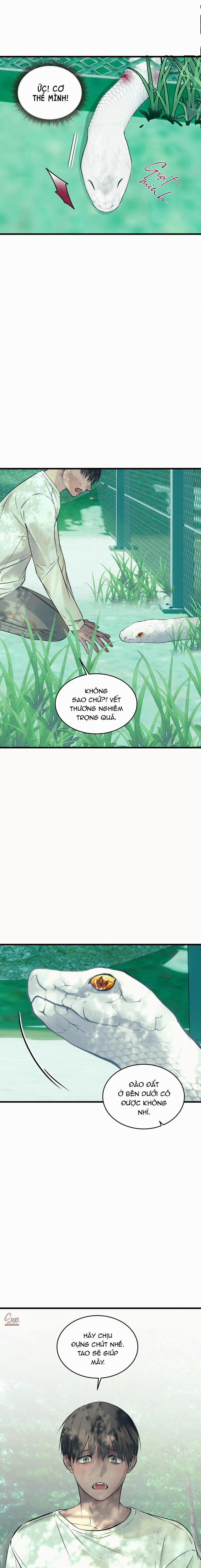 ÂN NHÂN CỦA RẮN 22 trang 5