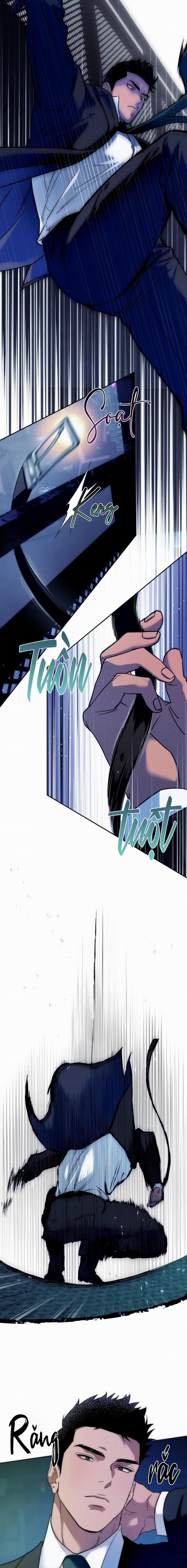 Ang Ang 101 trang 11