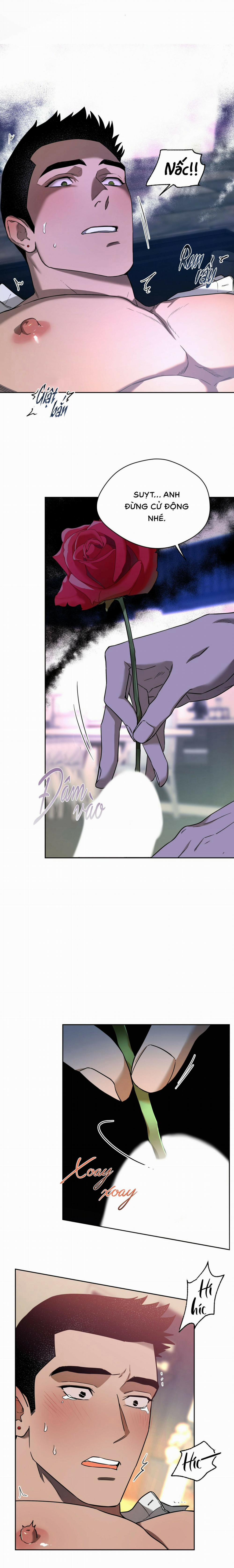 Ang Ang 44 trang 19