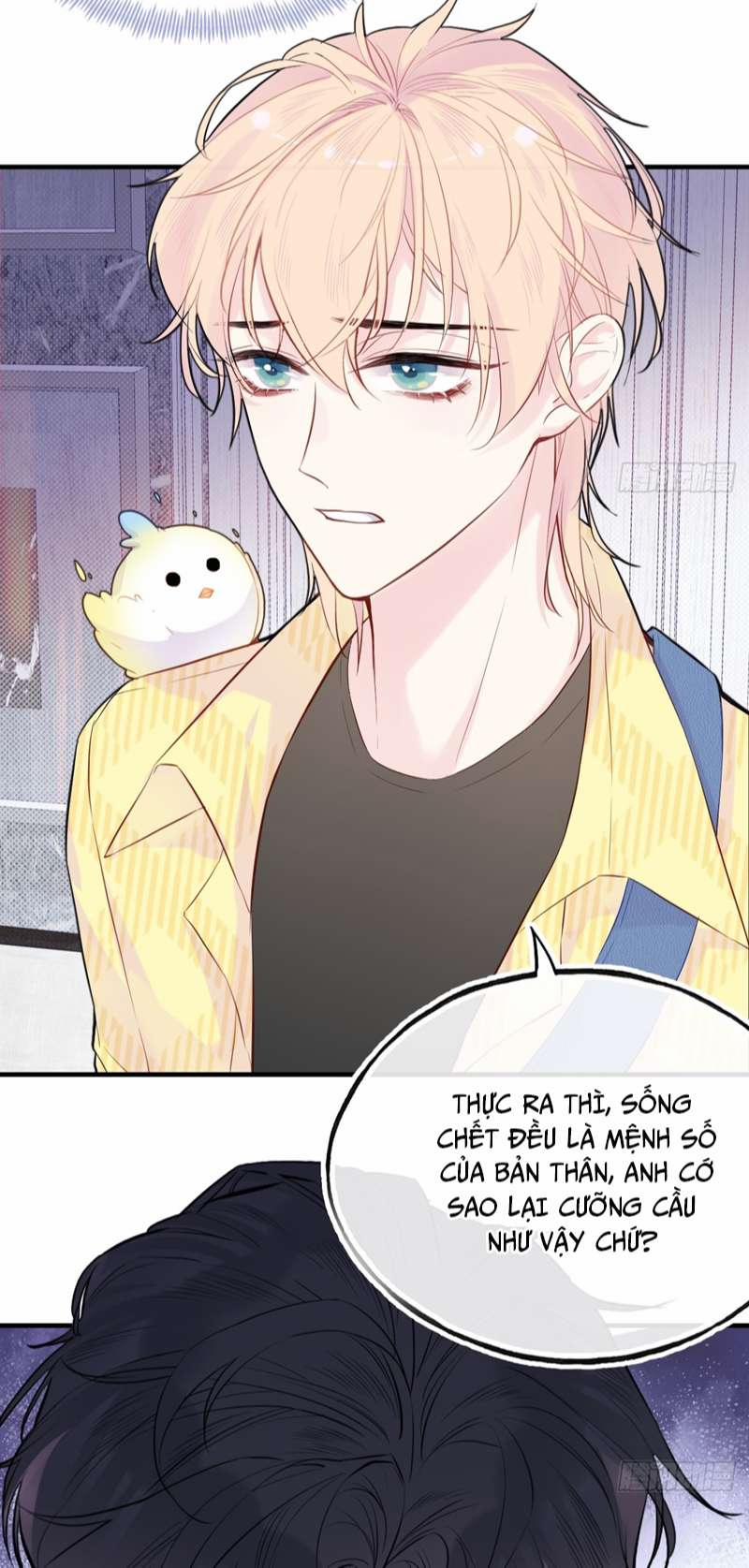 Anh Ấy Chưa Từng Rơi Xuống 15 trang 26