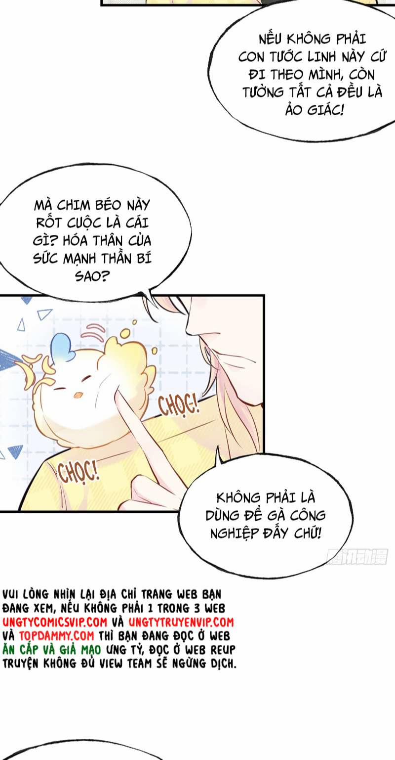 Anh Ấy Chưa Từng Rơi Xuống 5 trang 8