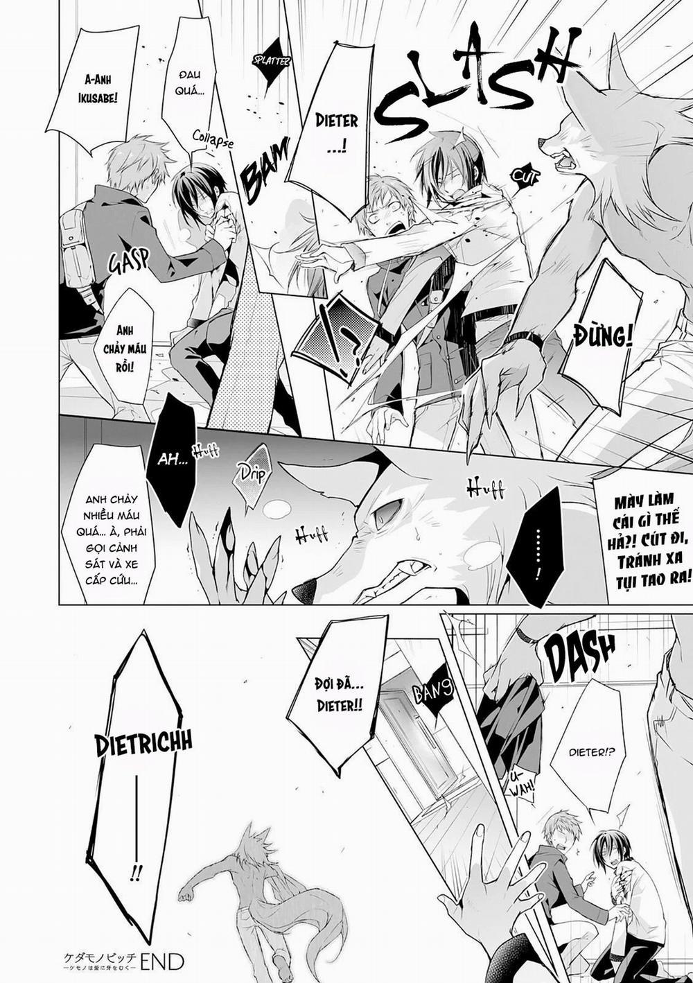 Anh Chàng Người Sói Và Tiểu Thuyết Gia Lập Dị 3.2 trang 10