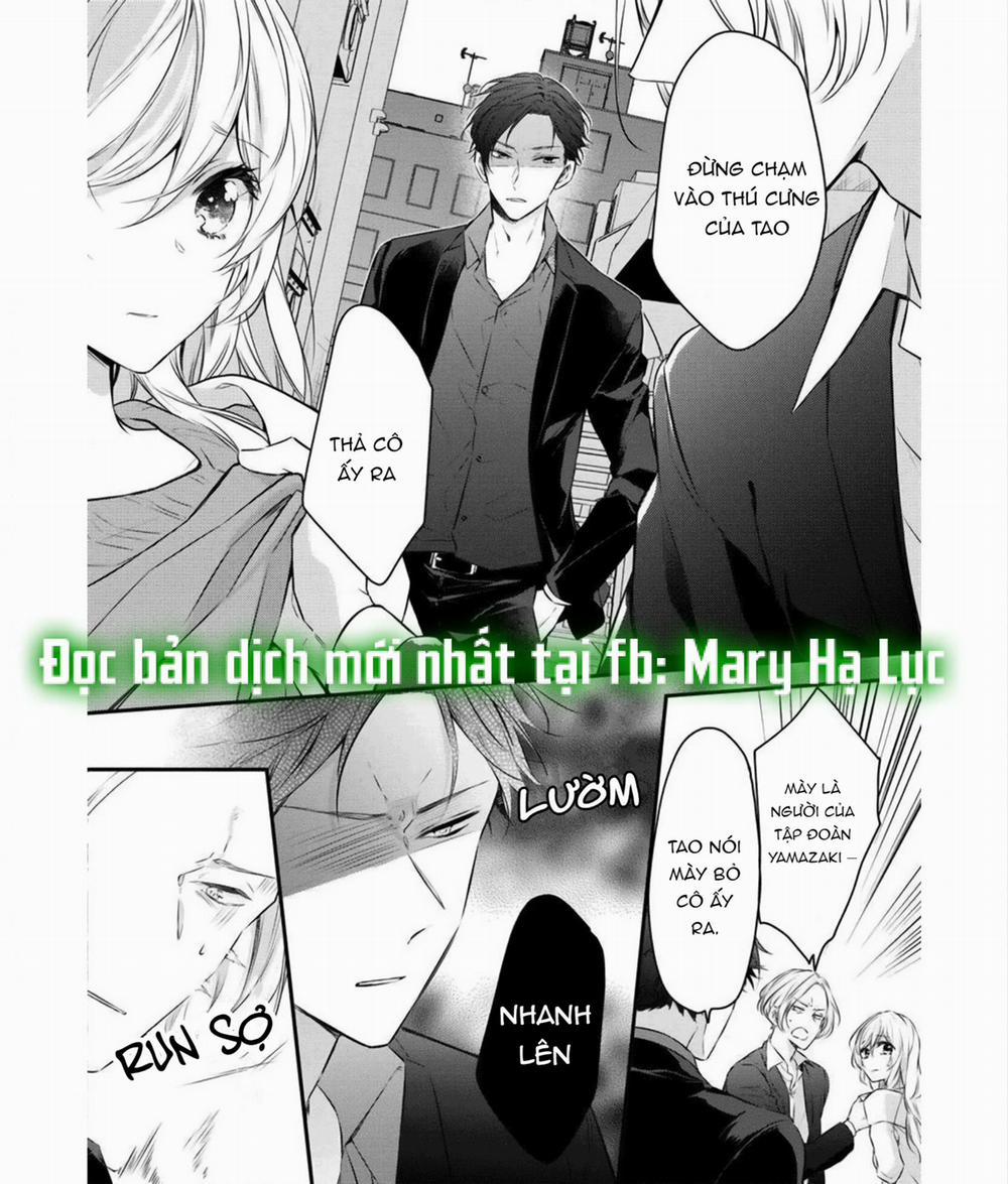 Anh Chàng Tsundere Và Cô Nàng Chippai-Chan: Chàng Yakuza Cưng Chiều Và Bao Nuôi Tôi 2.2 trang 18