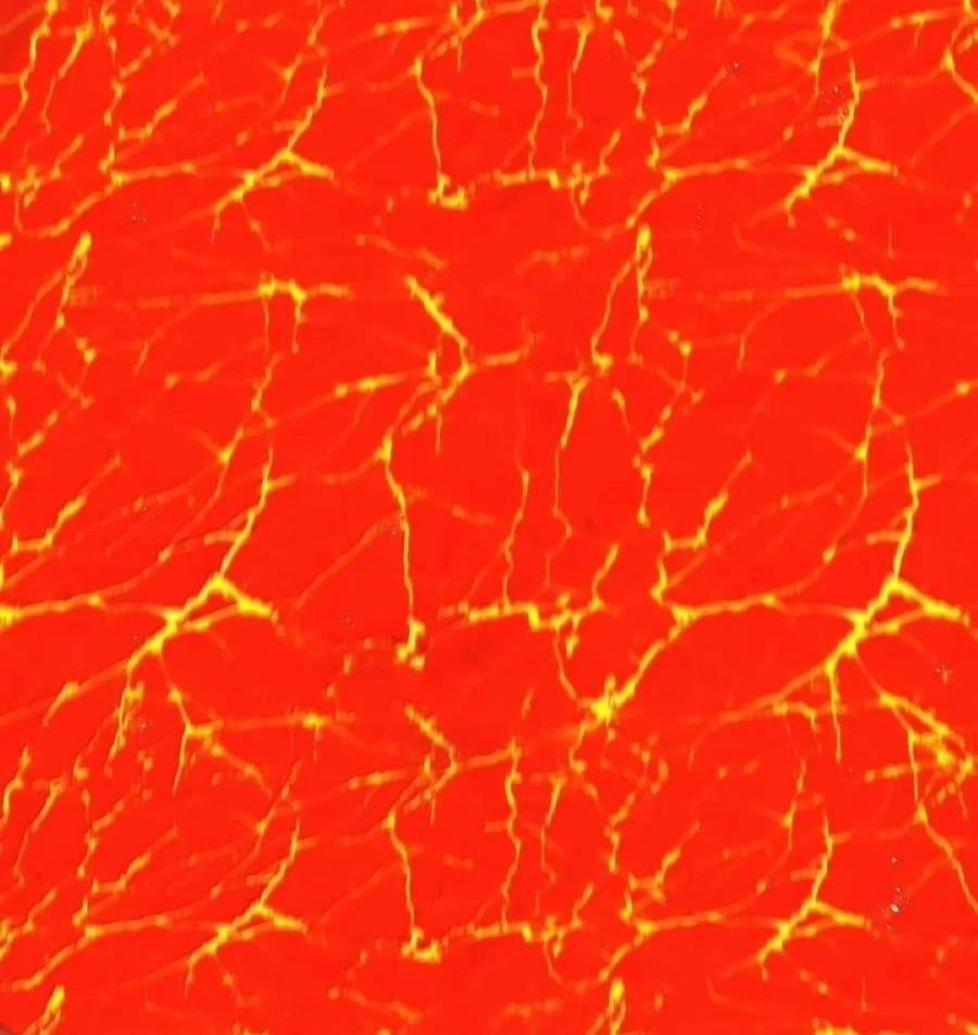 Anh Hùng Giai Cấp Tư Sản 101 trang 29