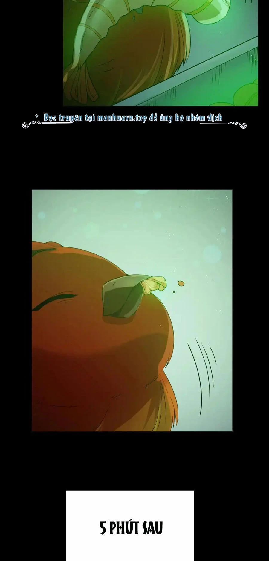 Anh Hùng Giai Cấp Tư Sản 66 trang 5