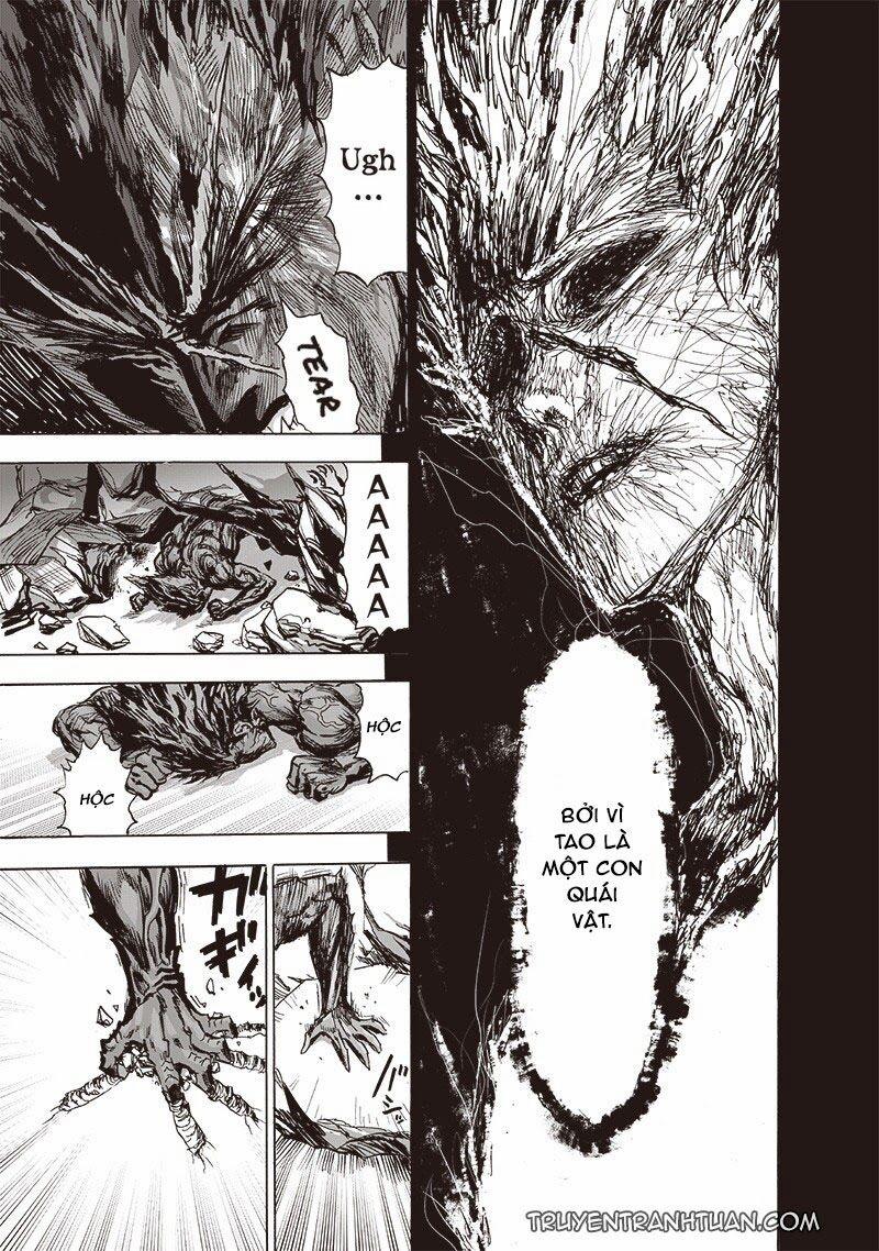 Anh Hùng Onepunch 183 trang 11