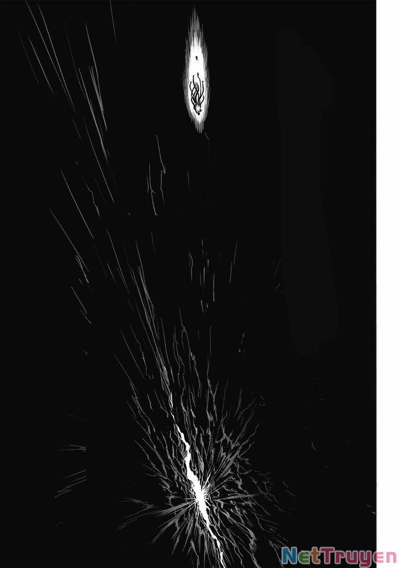 Anh Hùng Onepunch 196.5 trang 11