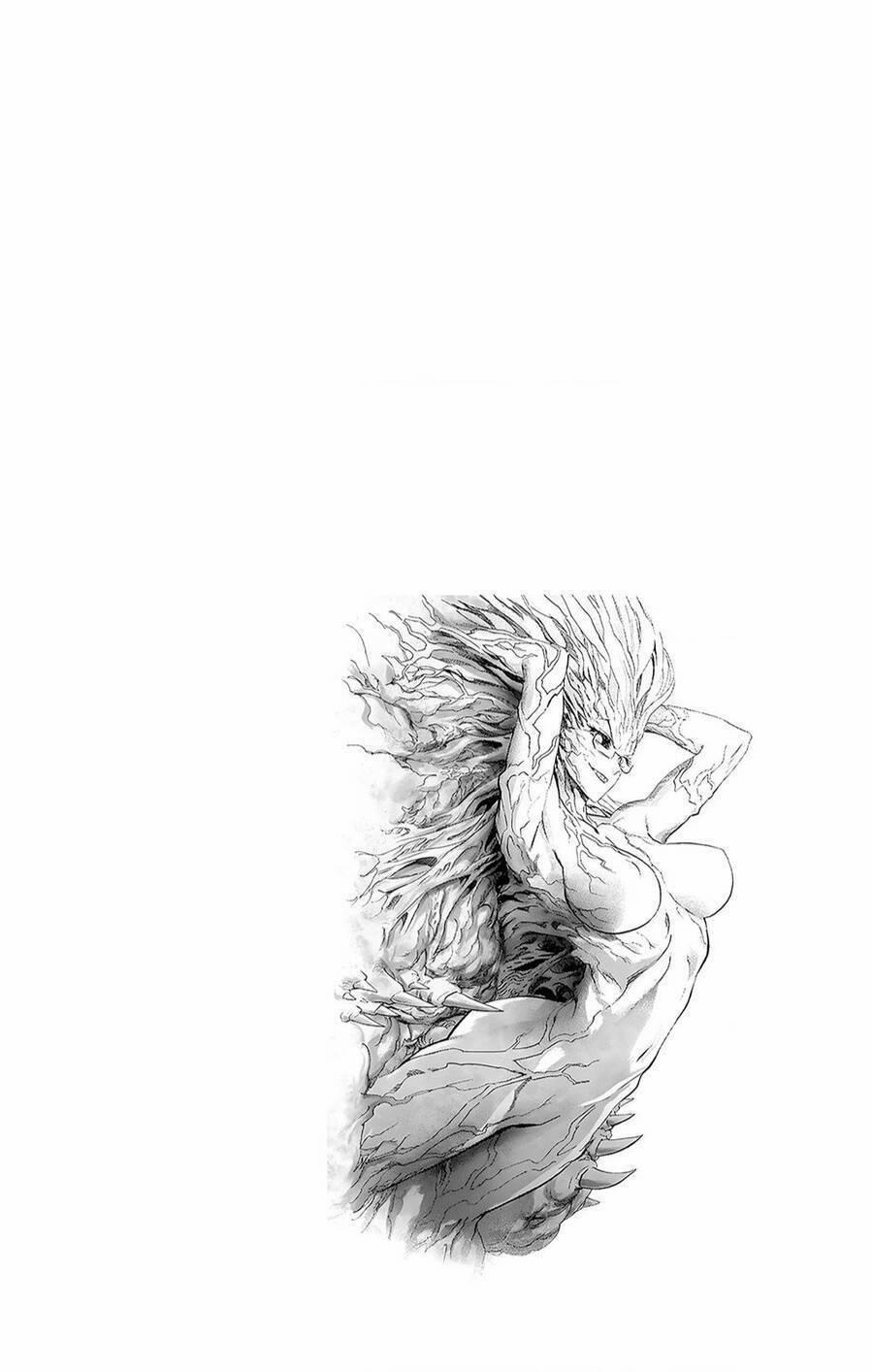 Anh Hùng Onepunch 234.5 trang 14