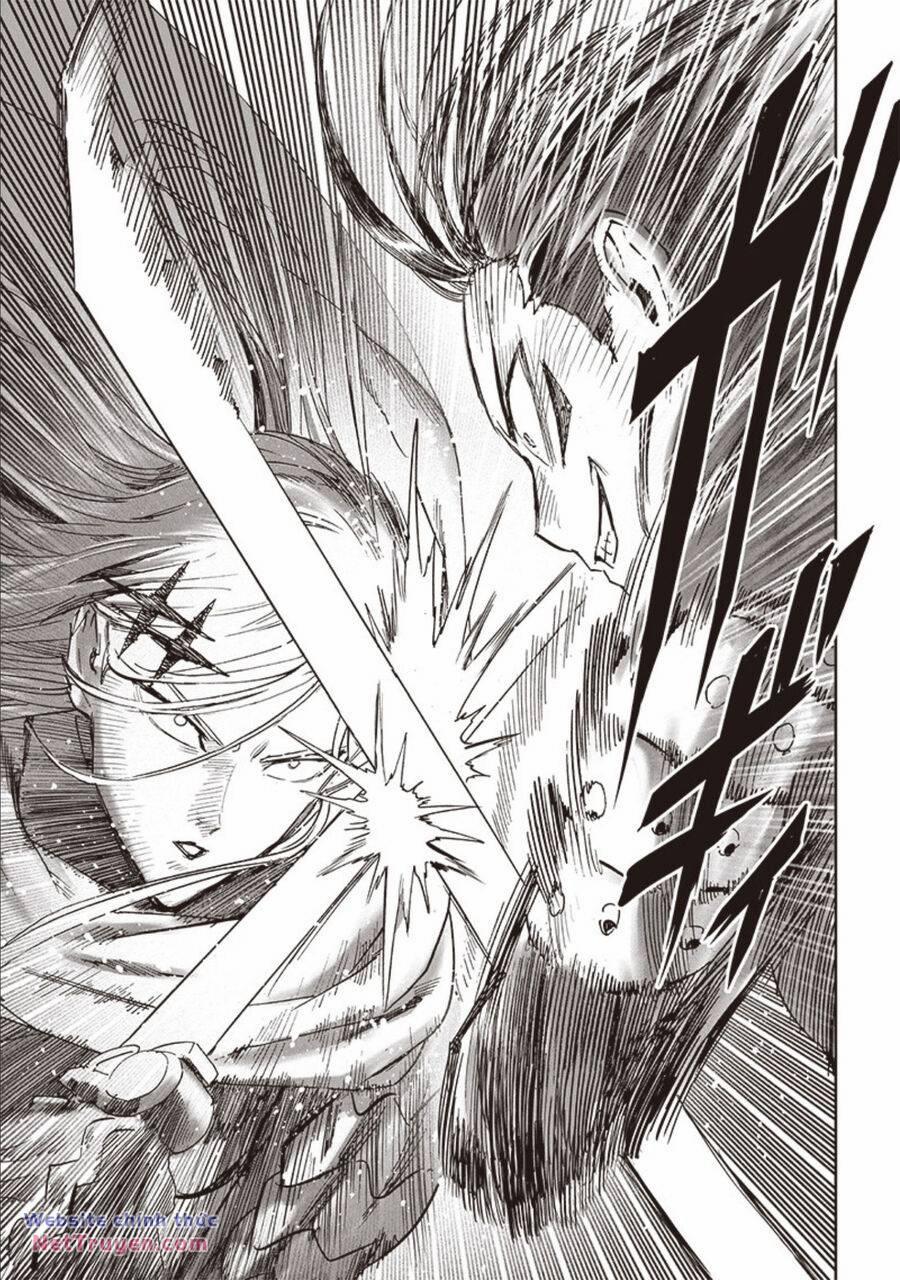Anh Hùng Onepunch 253 trang 9