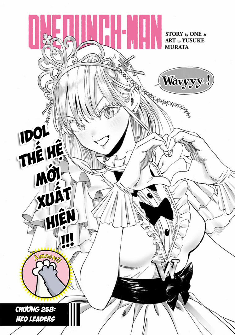 Anh Hùng Onepunch 258 trang 1
