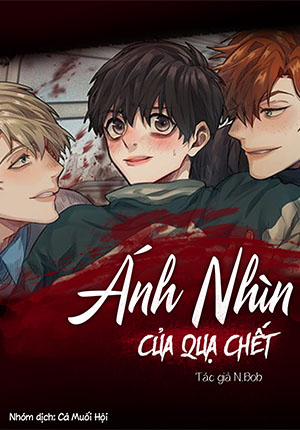 Ánh Nhìn Của Quạ