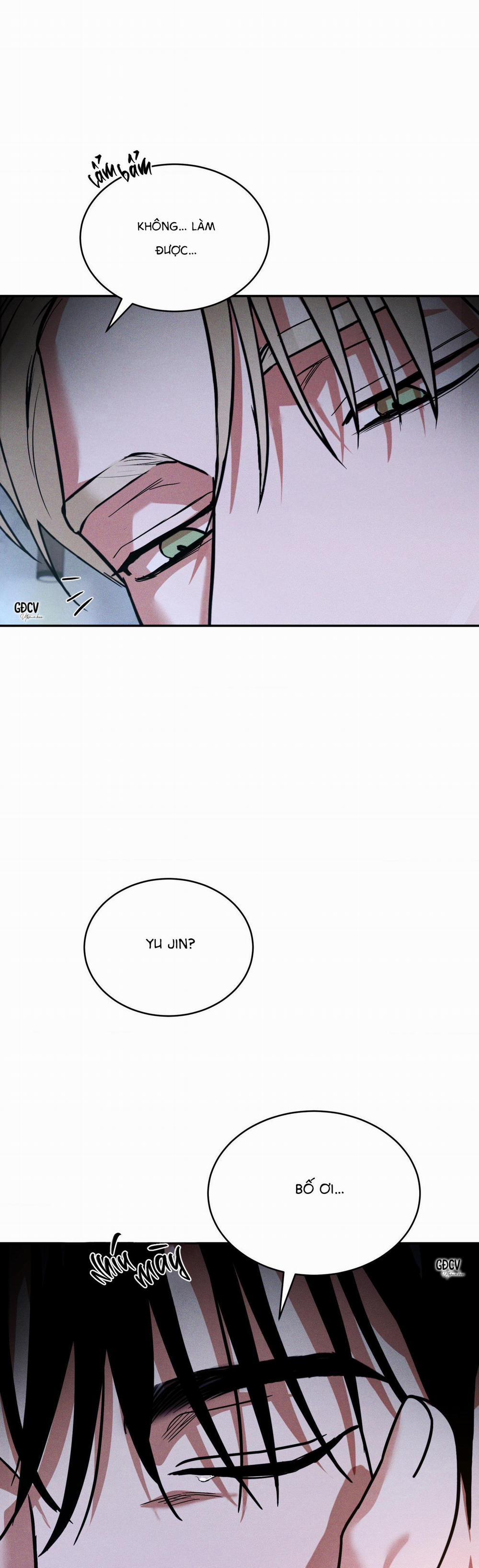 Ánh Nhìn 5 trang 28