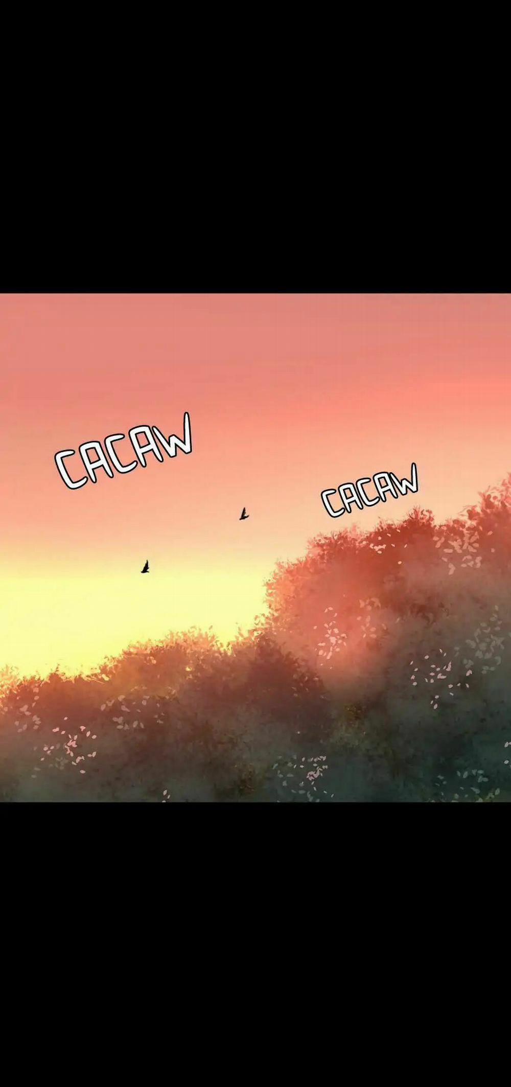 Ánh Sáng Cuối Con Đường 16 trang 19