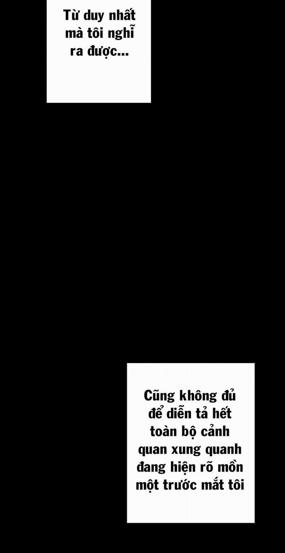 Ánh Sáng Cuối Con Đường 20 trang 14