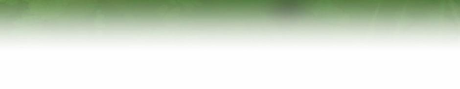 Ánh Sáng Cuối Con Đường 31.5 trang 43