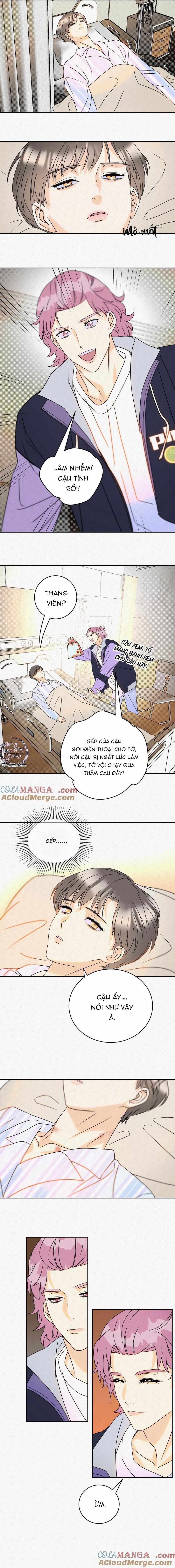 Anh Trai Rẻ Tiền Của Tôi (END) 18 trang 6