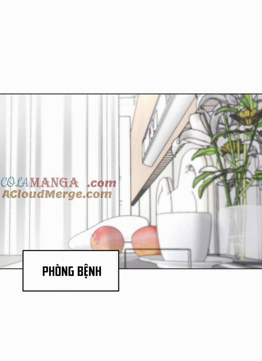 Anh Trai Rẻ Tiền Của Tôi (END) 63 trang 2