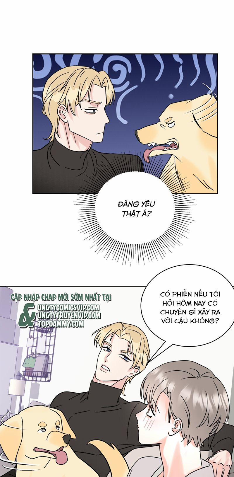 Anh Trai Tiện Lợi Của Tôi 4 trang 15