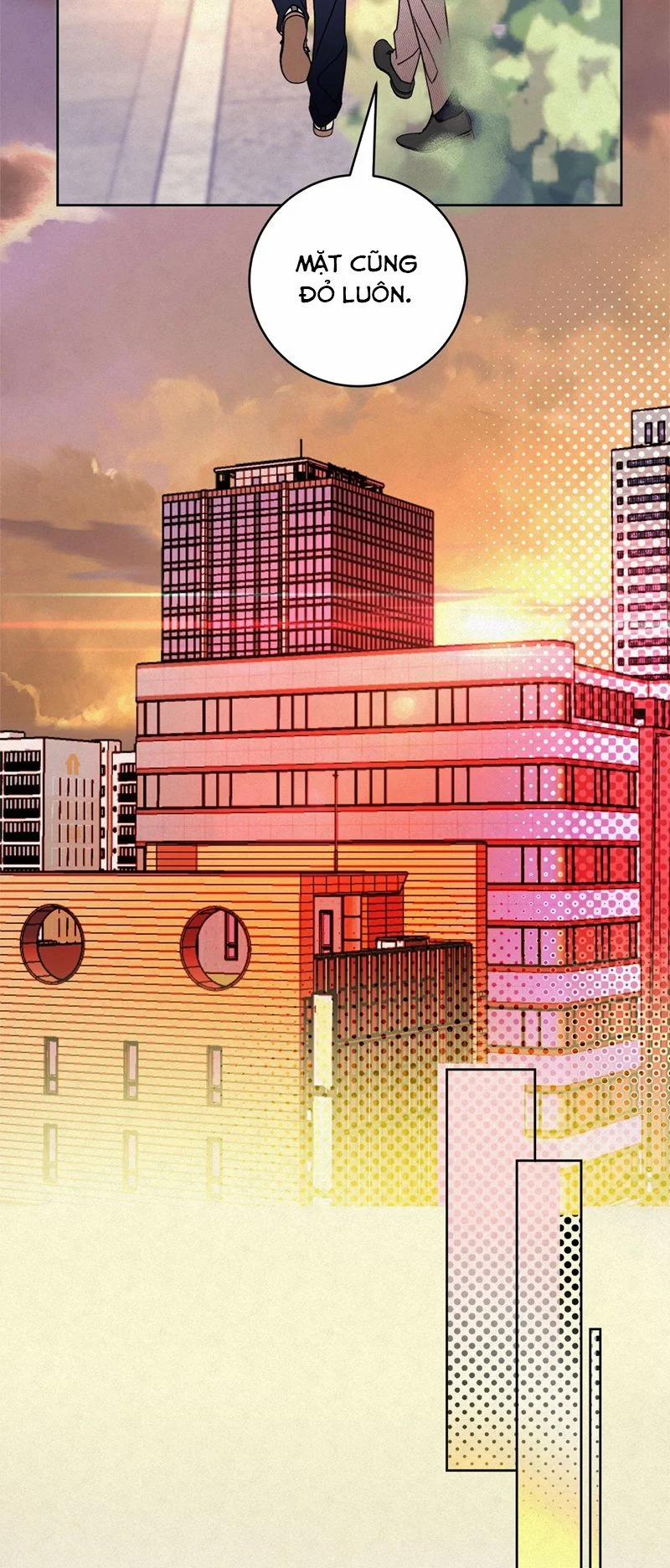 Anh Trai Tiện Lợi Của Tôi 8 trang 11