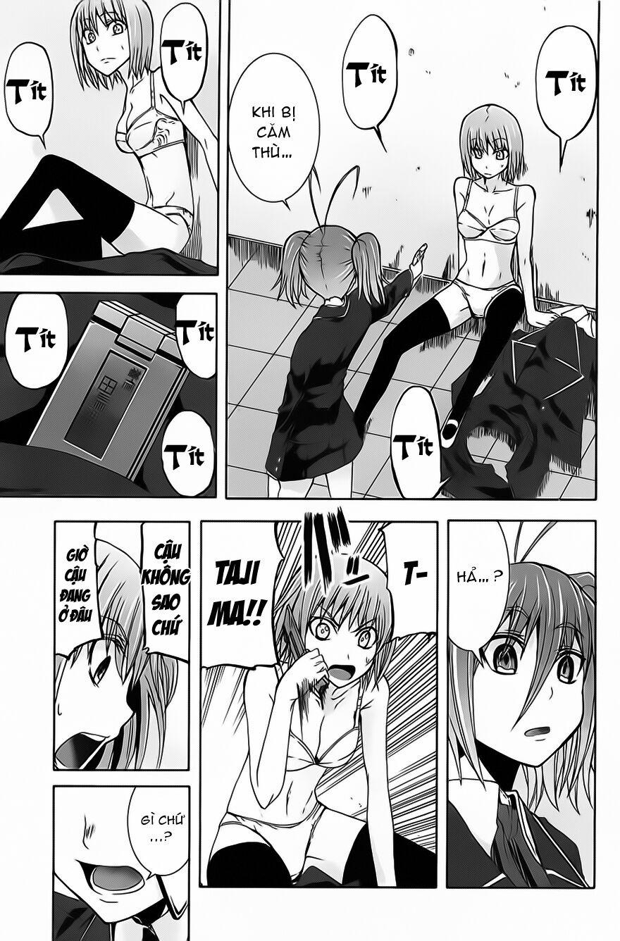 Arachnid 10 trang 12