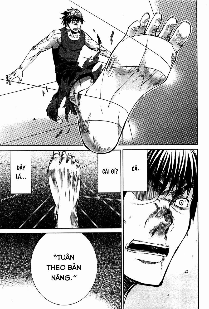 Arachnid 15 trang 13