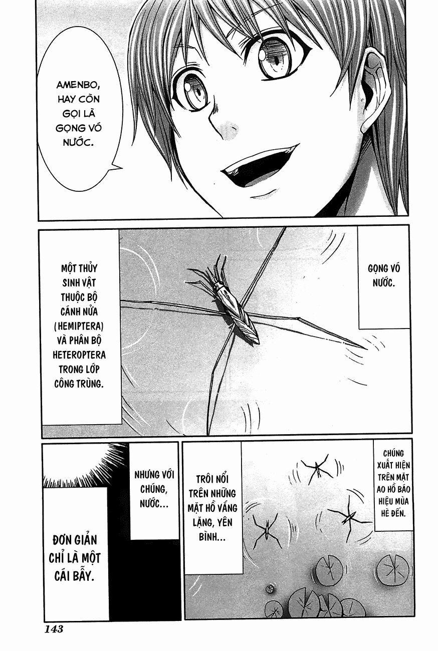 Arachnid 19 trang 31