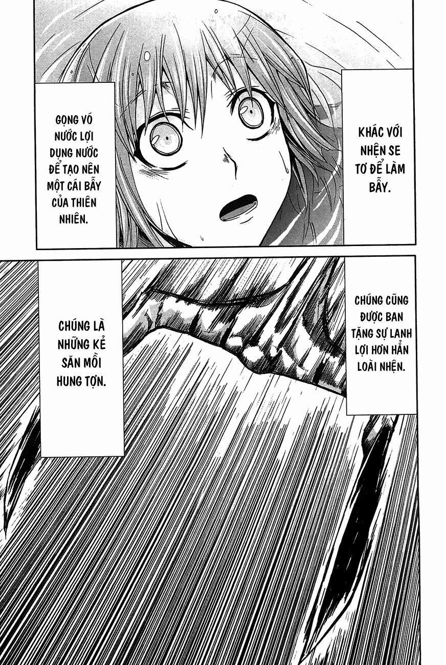 Arachnid 19 trang 33