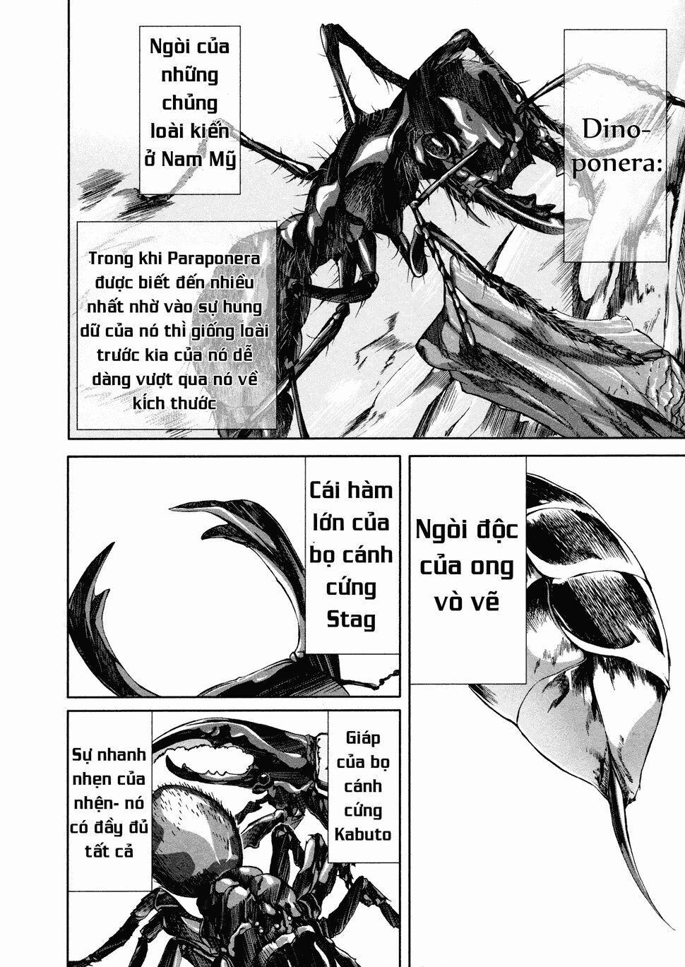 Arachnid 36 trang 22